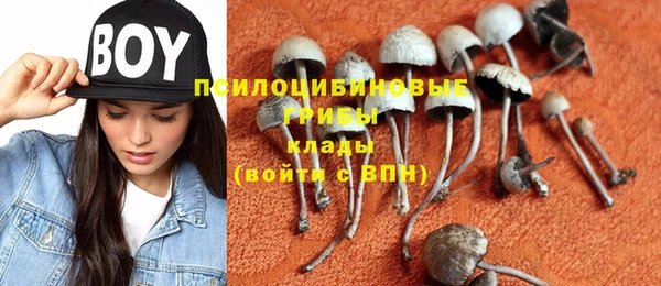 соль ск Нефтегорск