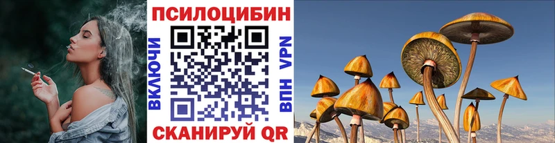 Галлюциногенные грибы мицелий  Купить  Псков 